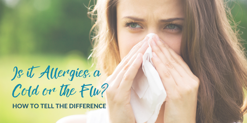 Allergies, cold or flu? How to tell | MPH blog