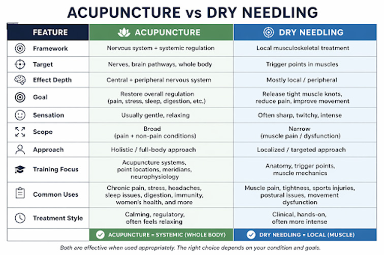 mph-calgary-acupuncture-tcm-clinic-dry-needling-comparison